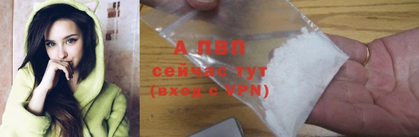 дживик Арсеньев