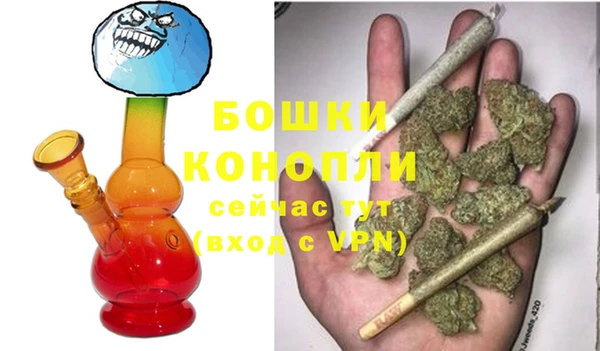 дживик Арсеньев
