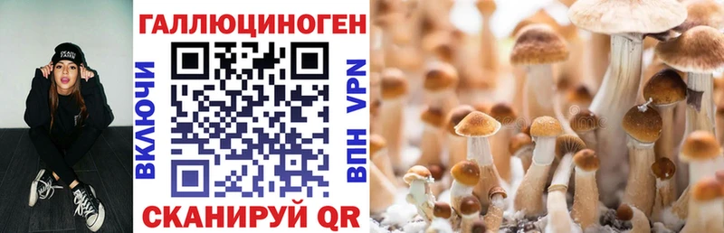 Псилоцибиновые грибы GOLDEN TEACHER  Сосенский 